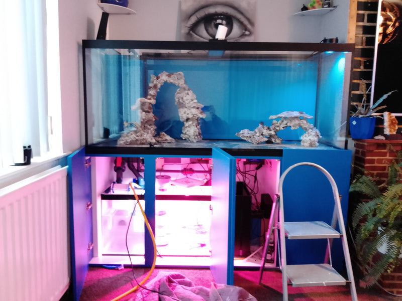 Reef Aquarium Diary - Part 2 - Lets get wet!