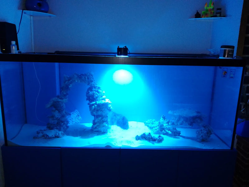 Reef Aquarium Diary - Part 3 - Cycling