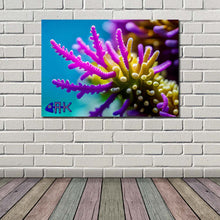 Load image into Gallery viewer, Wall Art - Prints &amp; Posters - Aquatic Designs
