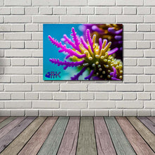 Load image into Gallery viewer, Wall Art - Prints &amp; Posters - Aquatic Designs
