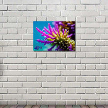 Load image into Gallery viewer, Wall Art - Prints &amp; Posters - Aquatic Designs
